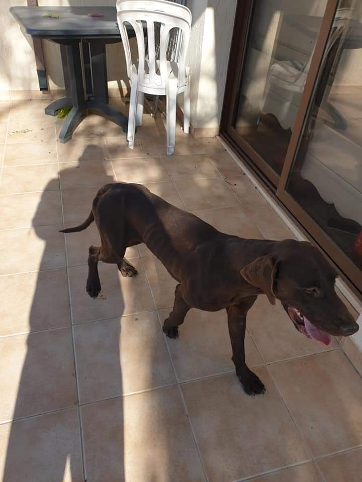 4F5DBA58-C6EA-42F8-804A-60757F7EA685