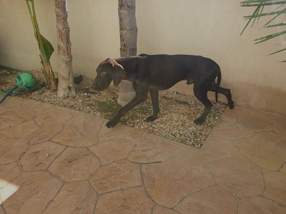 71B6CBEB-C782-4216-8D77-C6D739908ECA