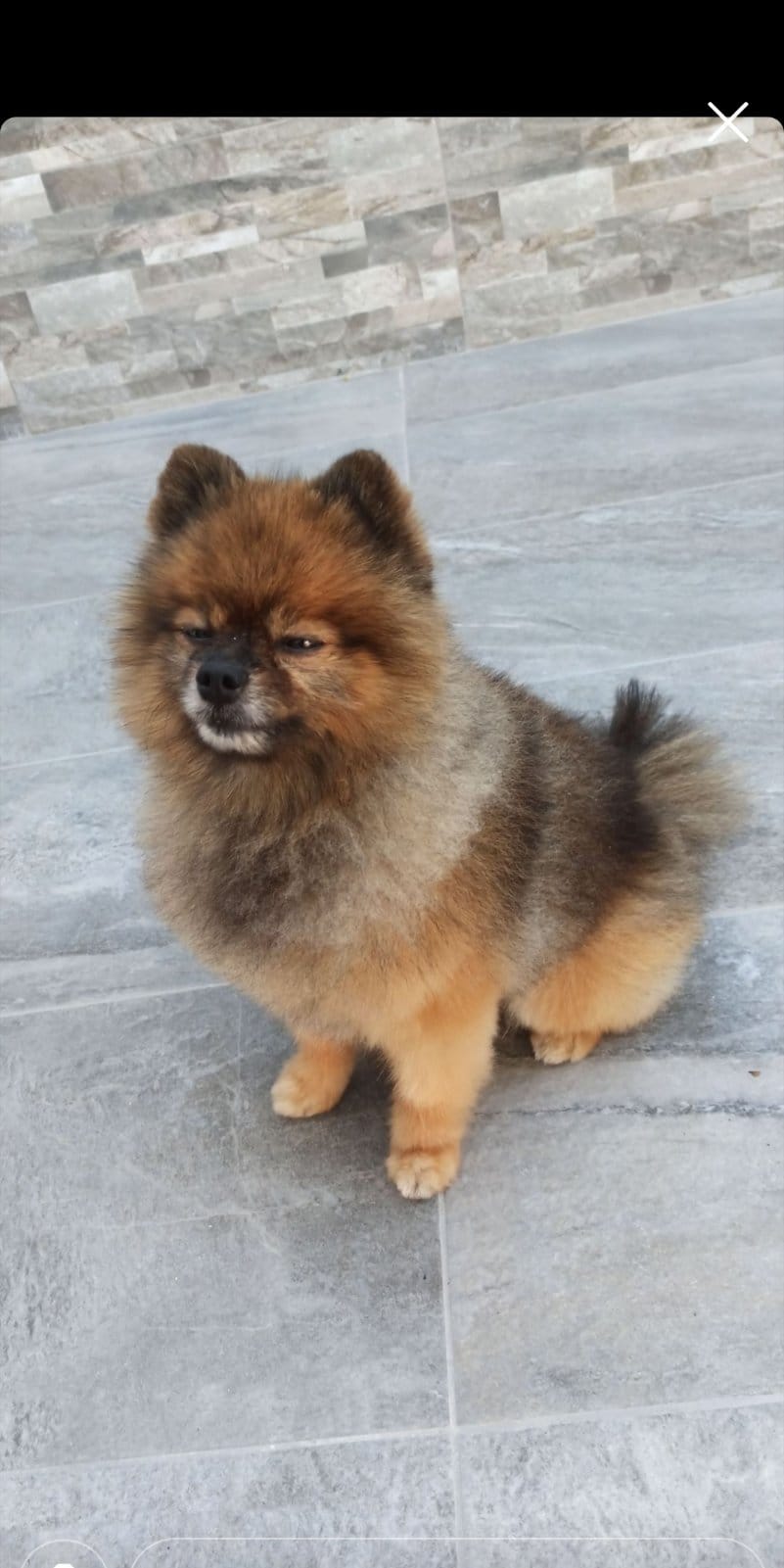 IMG-f3e2b1e7edf26064253b4b6380784286-V