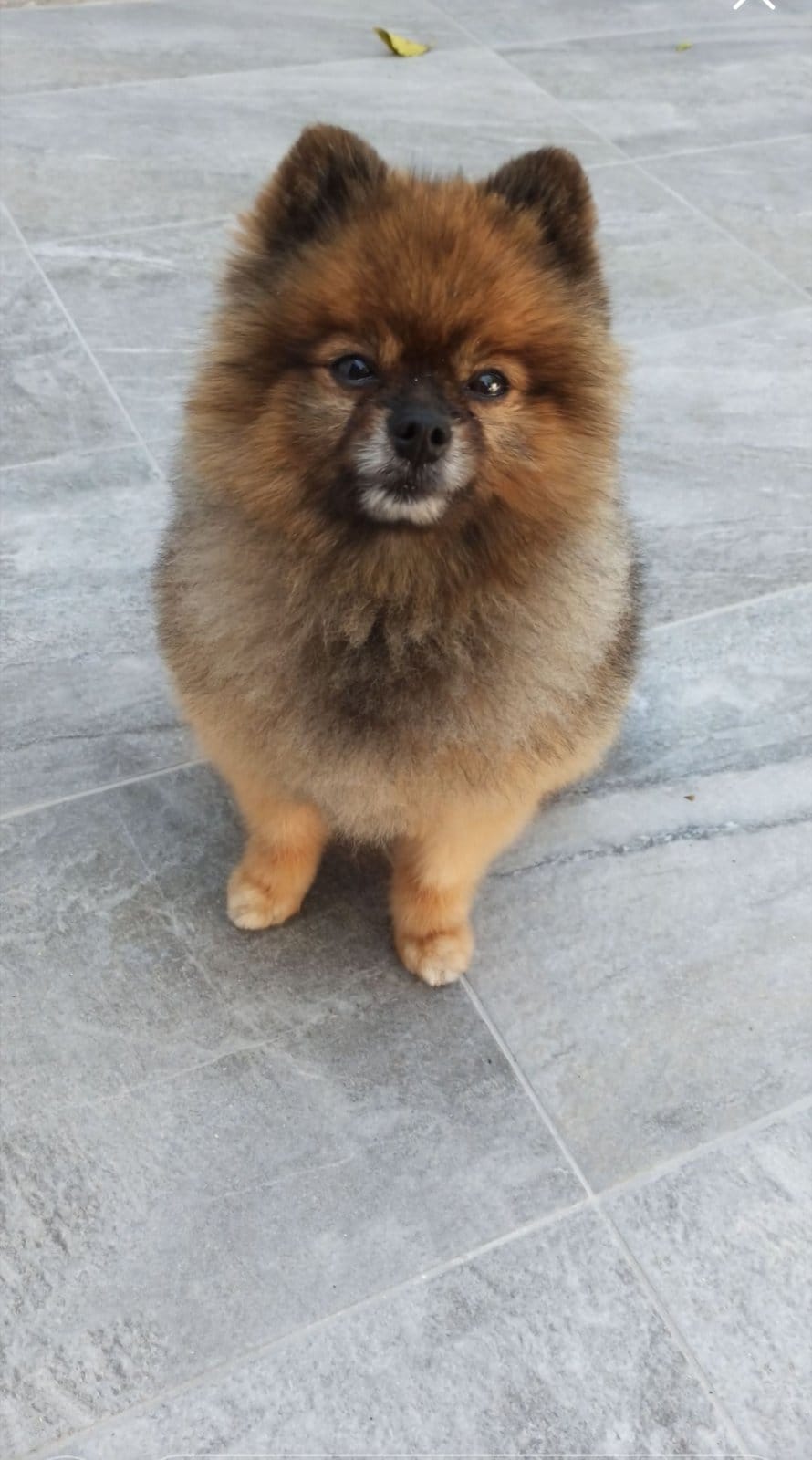 IMG-fb75b842450e942eb61005101d39e744-V