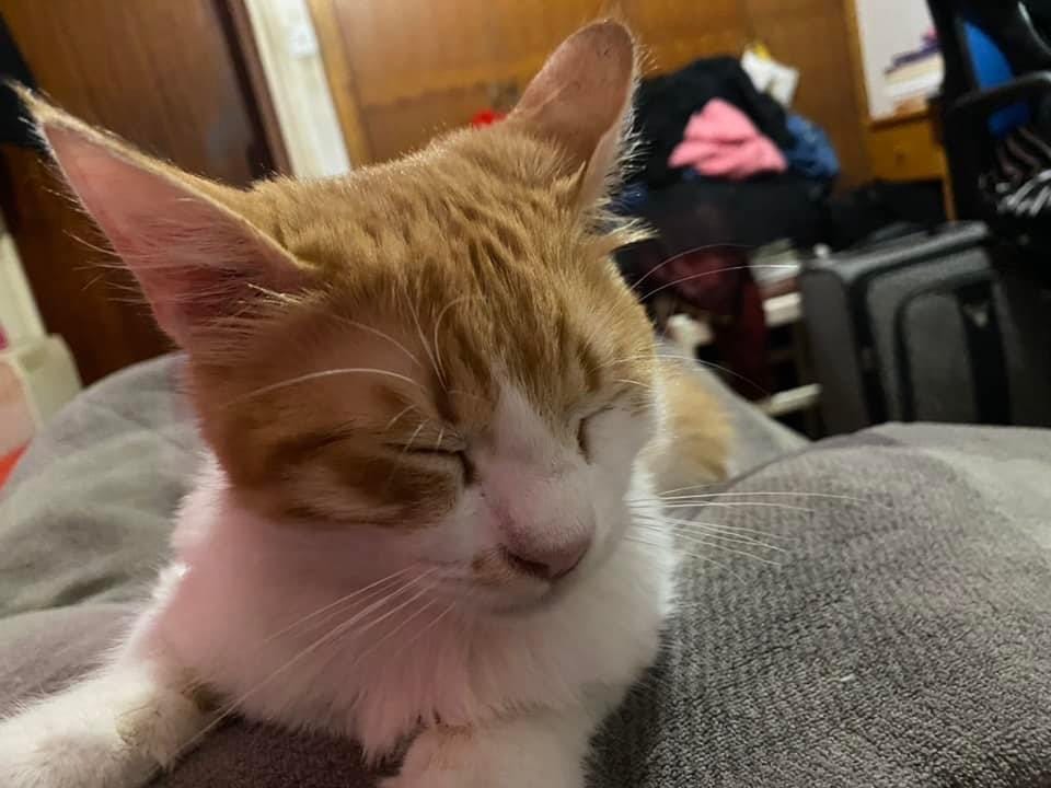 20CA6212-9960-47E0-8BD8-6DD89B5BF8D6