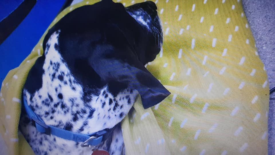 262502059_10158774217254005_5145855117702770380_n