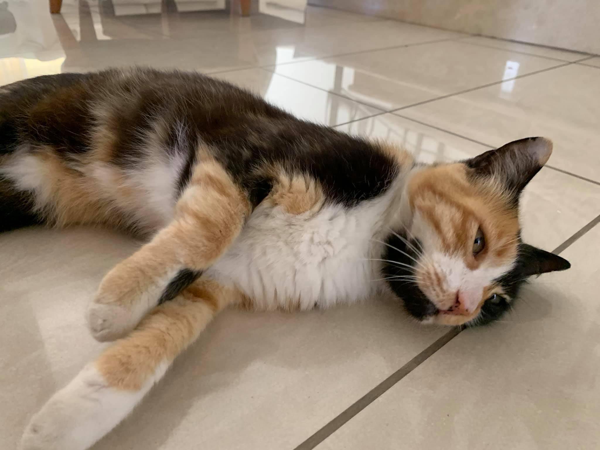 382F50C5-2B2C-41AE-A34F-595FE08124A8