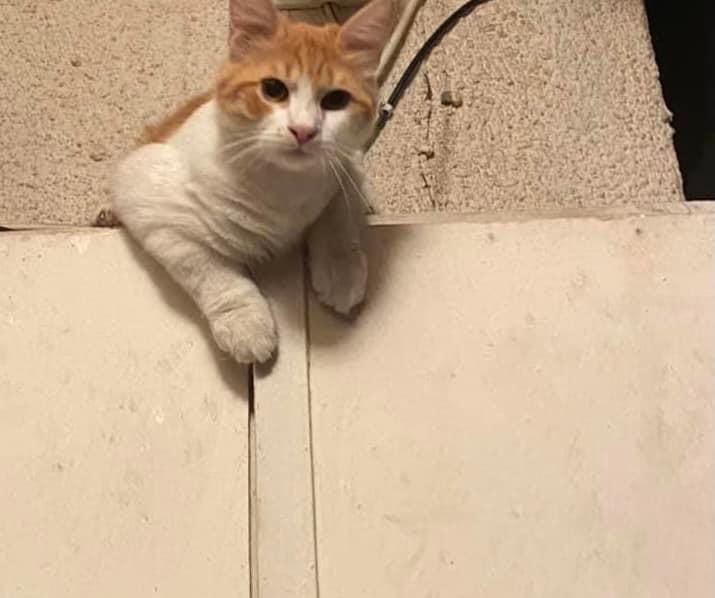 3E98EDC7-1ABF-44F3-B011-885C72C60E08