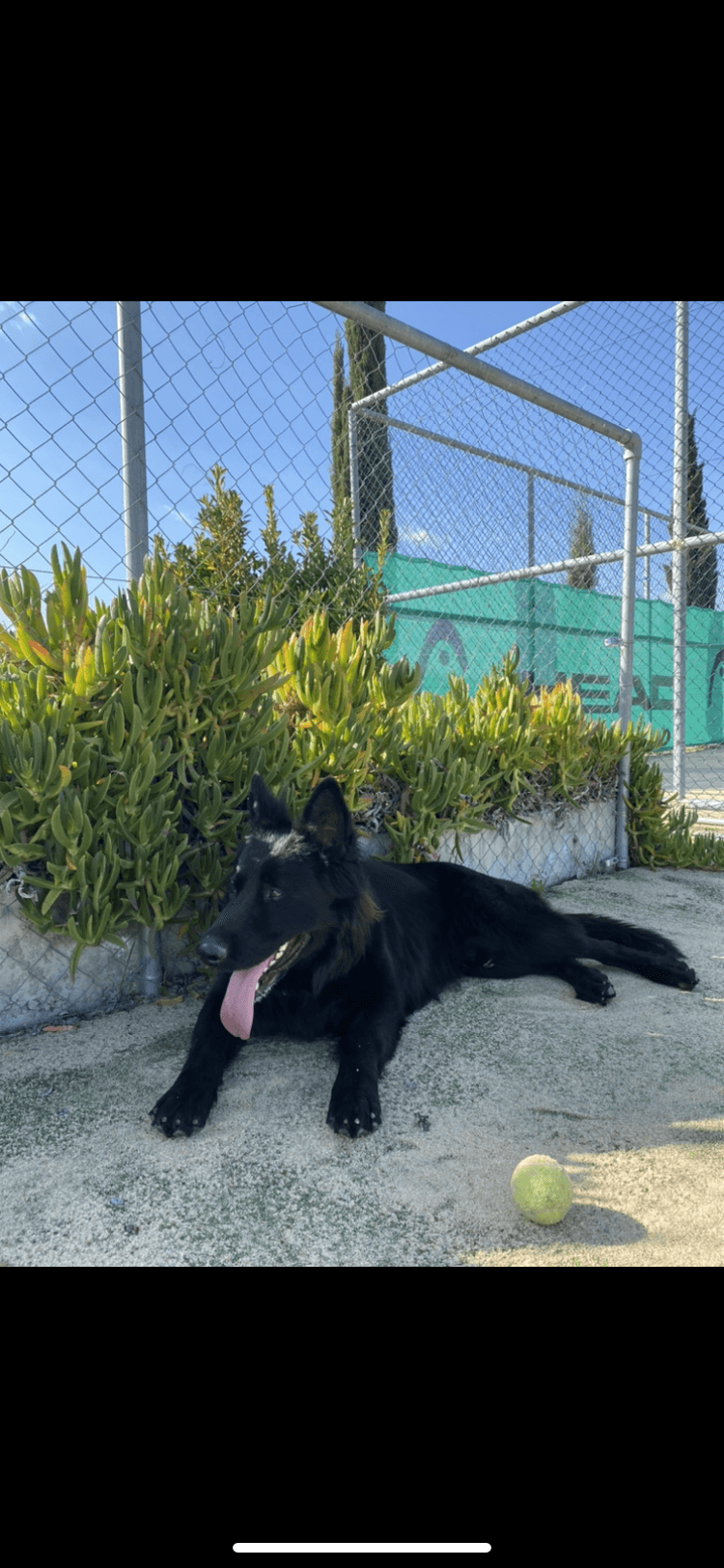 501AB576-43DB-41B8-99CC-035FD18F573C