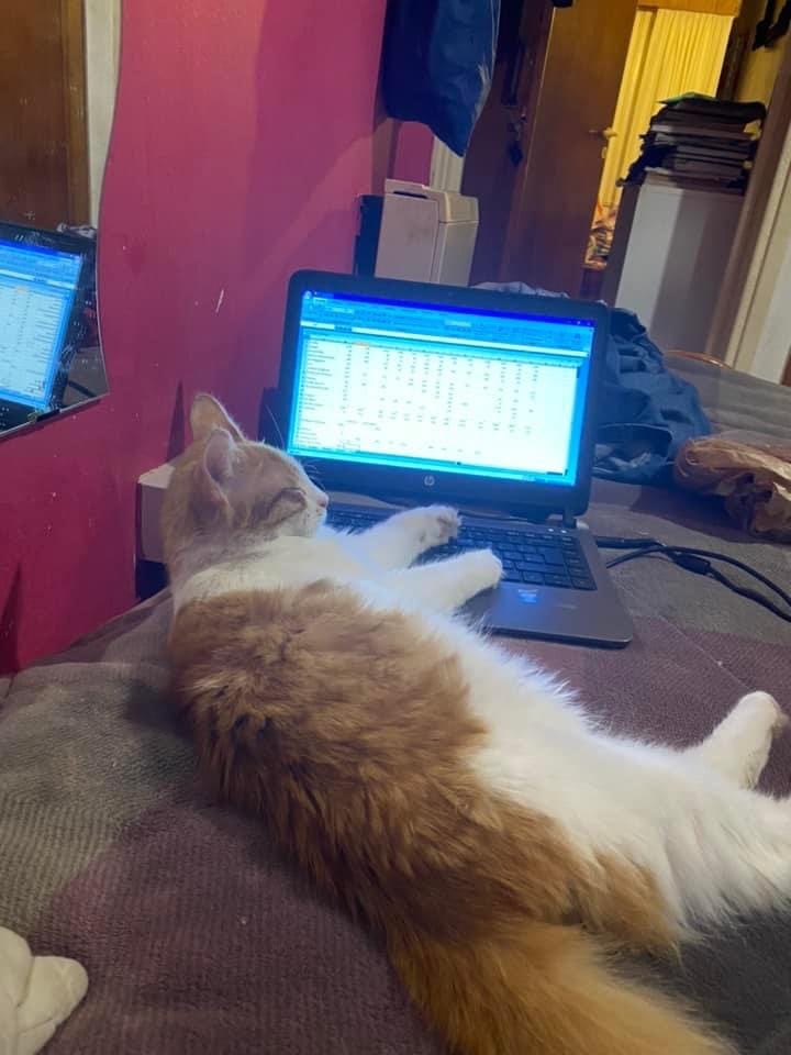 8D0C8613-8E75-4DF7-B5E8-60C85EE30D1E