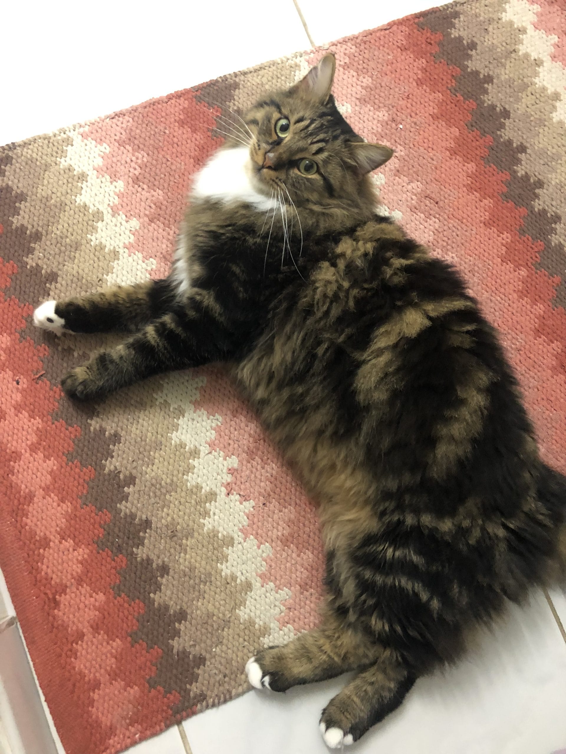 A230D53D-FC17-4545-A57A-D352146E4CF9