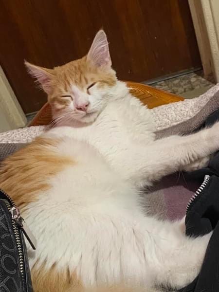 CAE605B2-400B-4296-BA09-8E63D52298FE