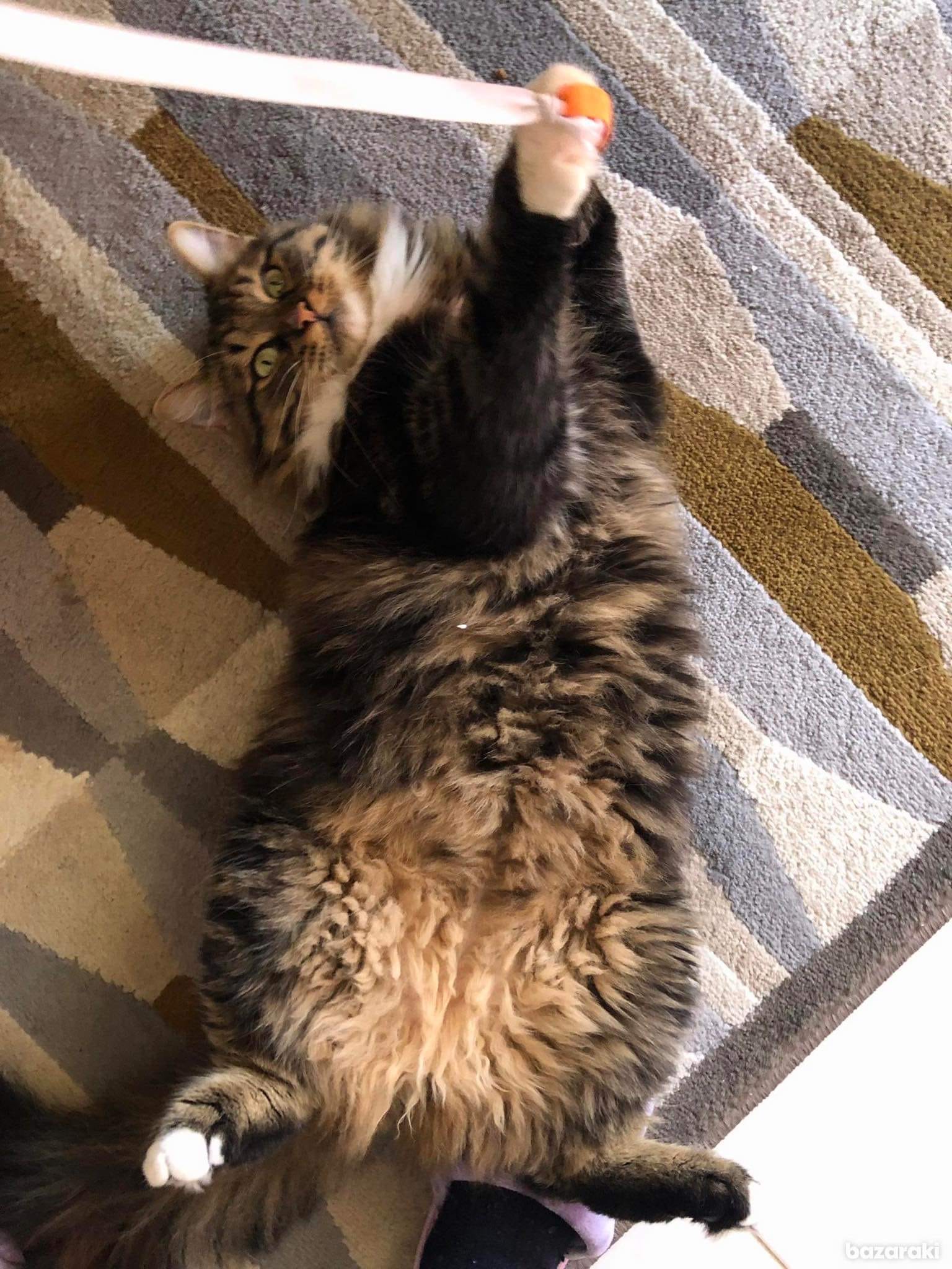 D0AFD319-1106-4581-B1D8-FCE524F83846