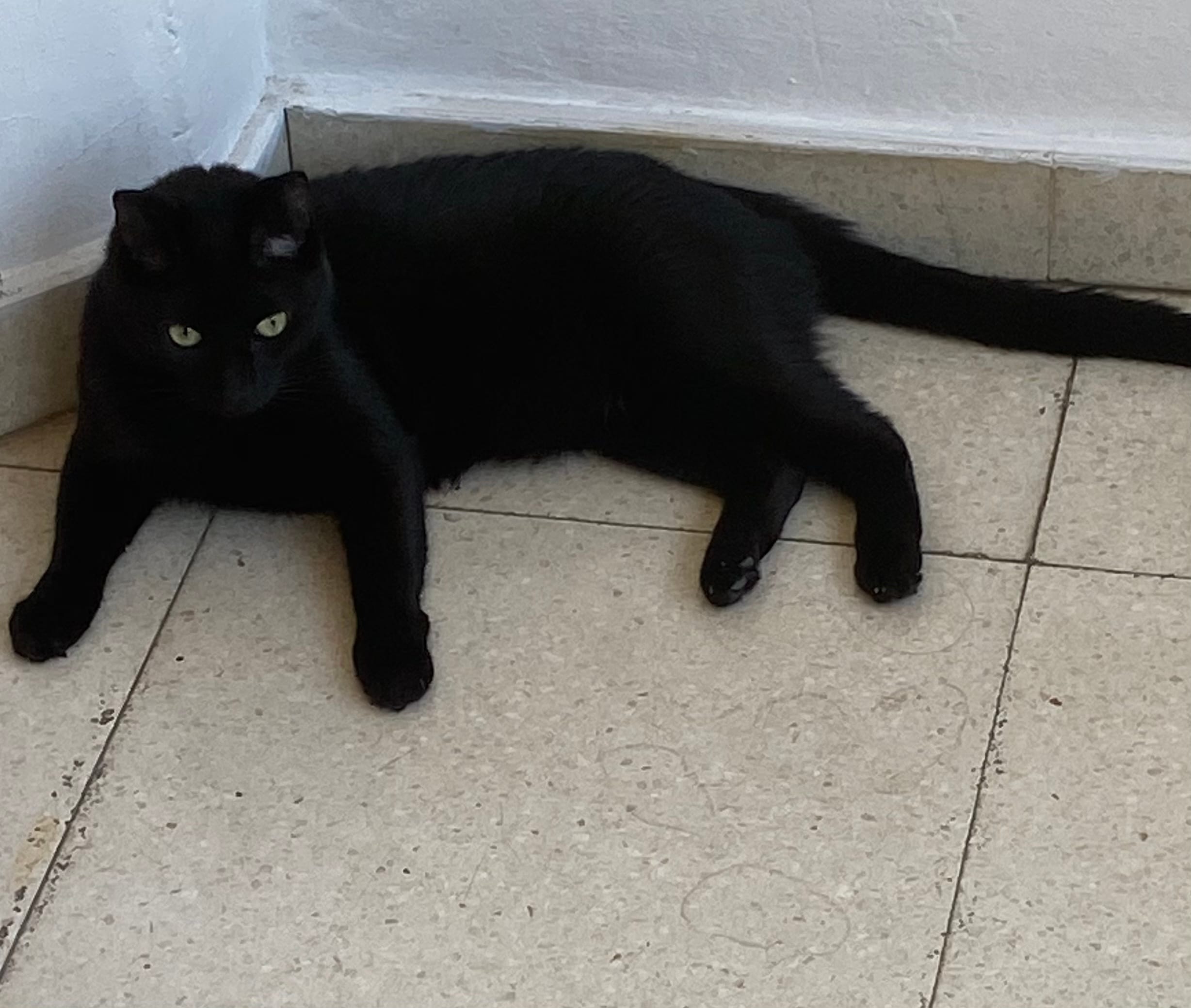 E23472AA-E80D-4DFB-A0D7-113D4E93FE55