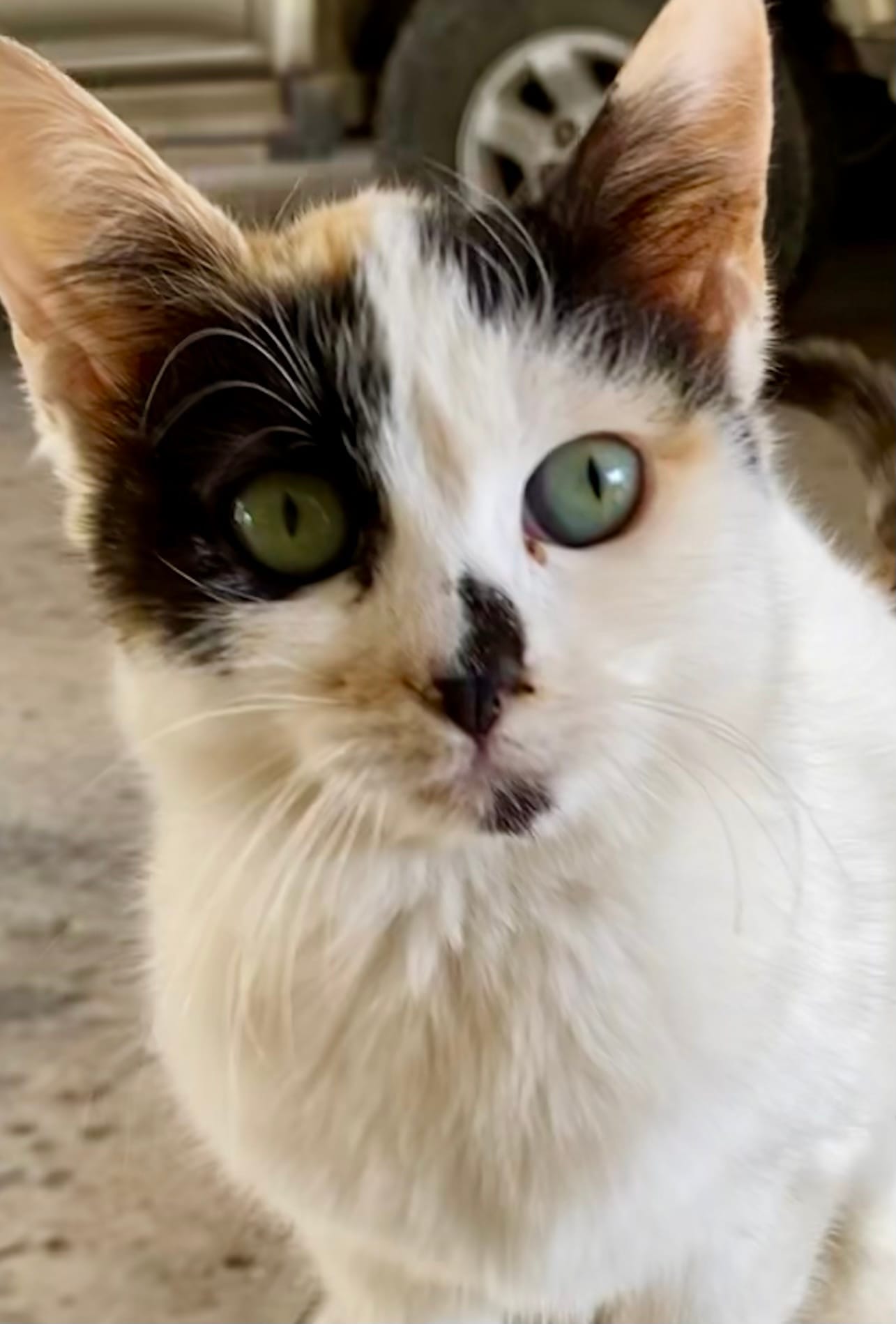 E60256BE-D02C-4CEE-9B89-434AC6535000