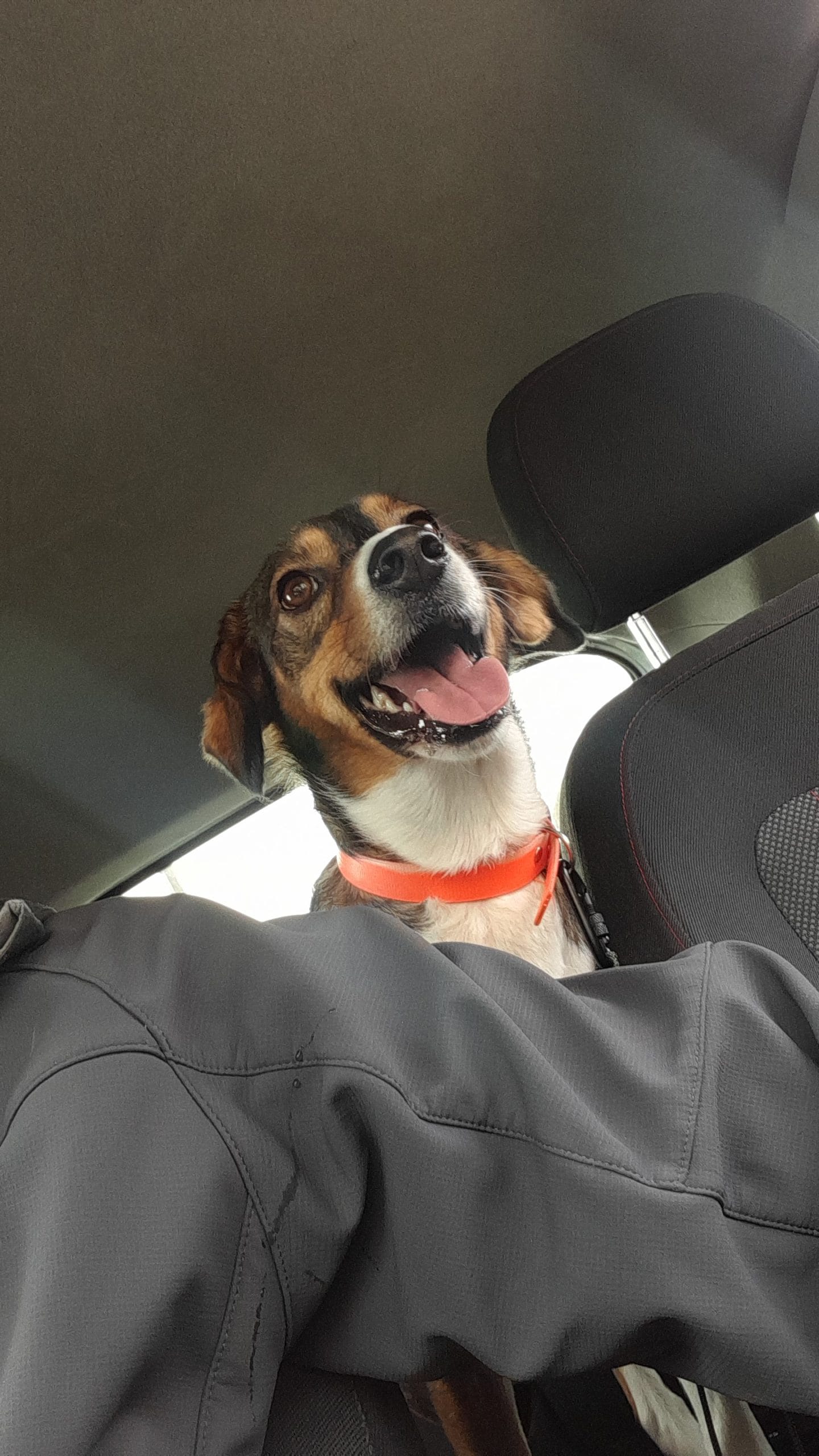 IMG-20211228-WA0015-scaled-1