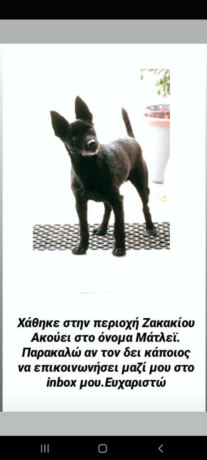 Screenshot_20211206-235608_Facebook