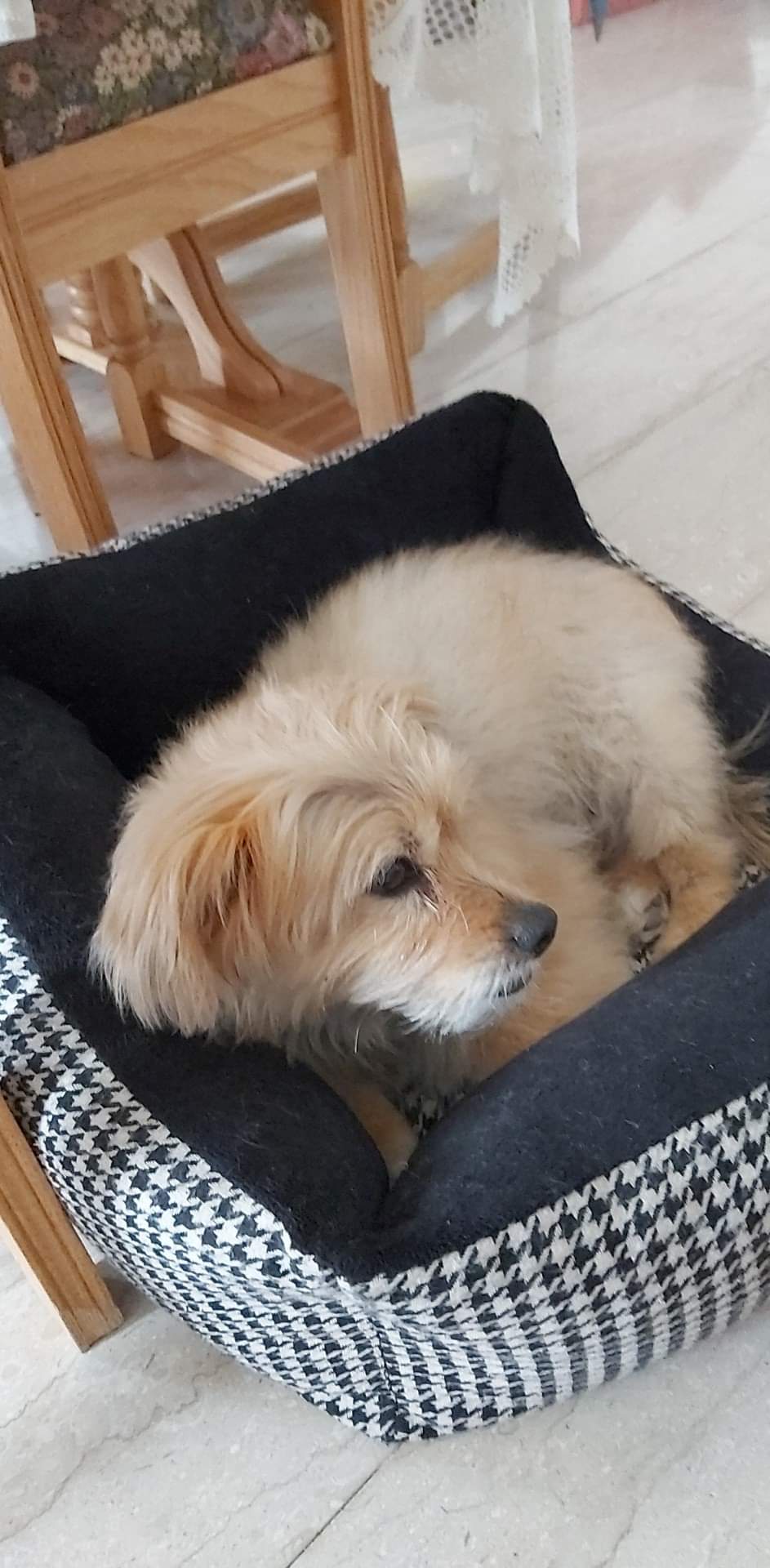 inbound2883982874000764822