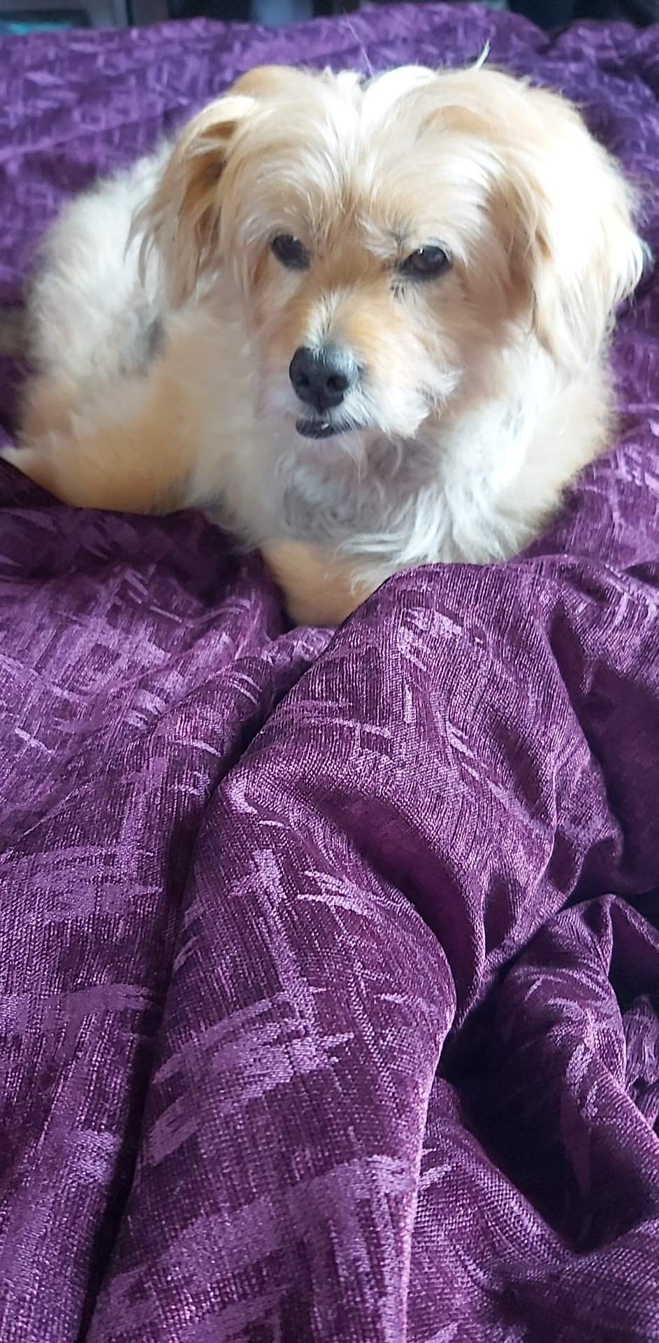 inbound5905119496842068465