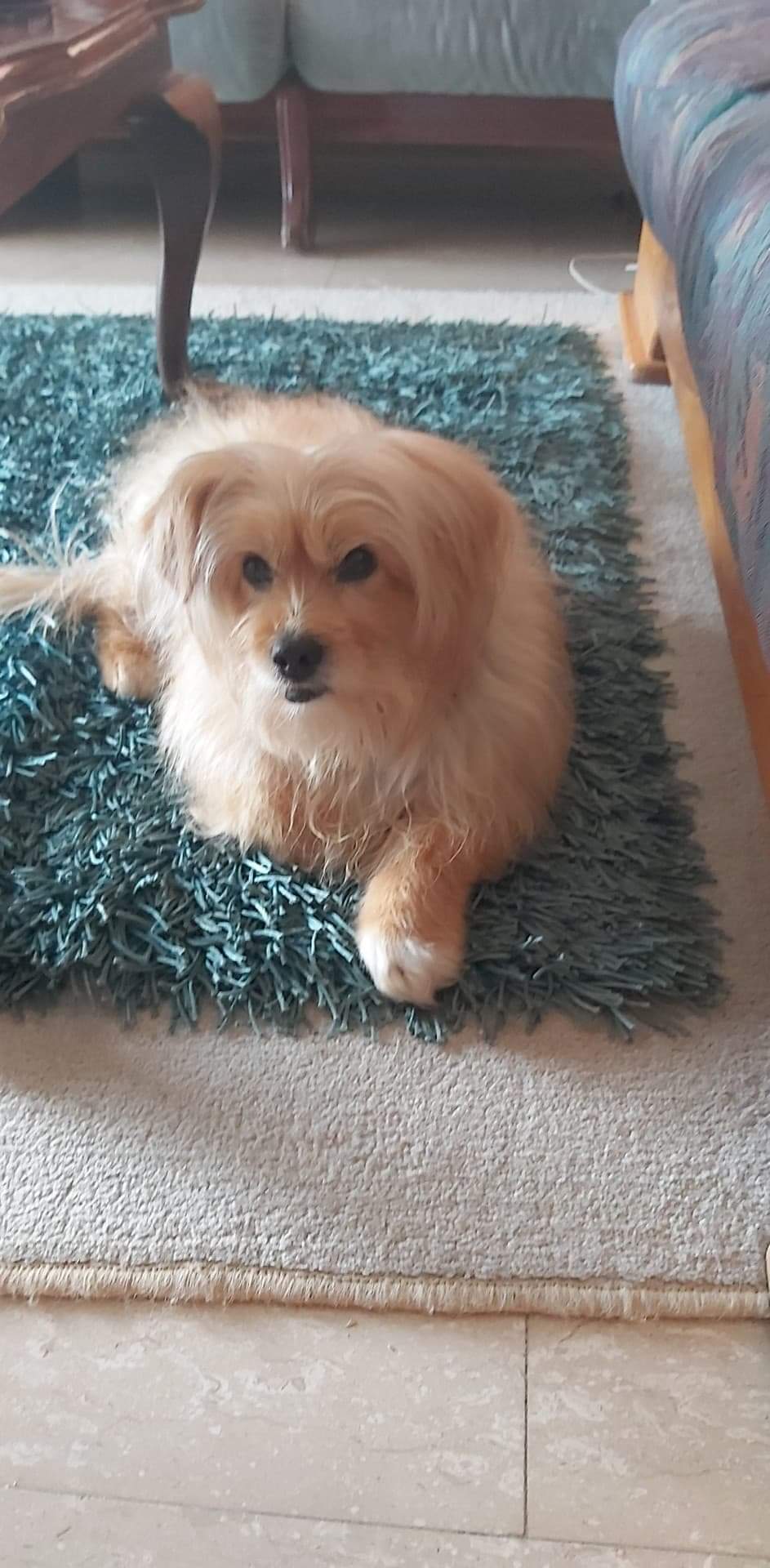 inbound6940570443849091486