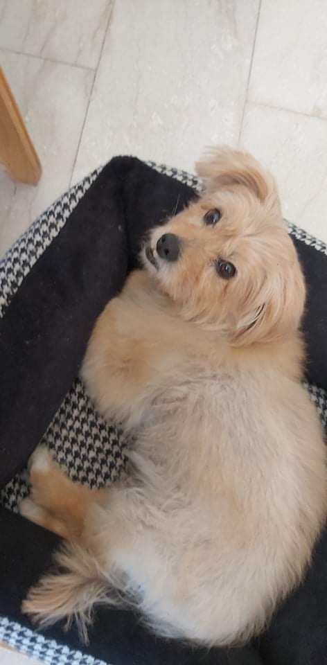 inbound887327546058538941