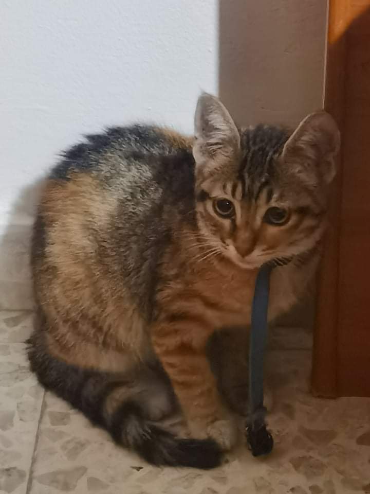 received_1959718107544255