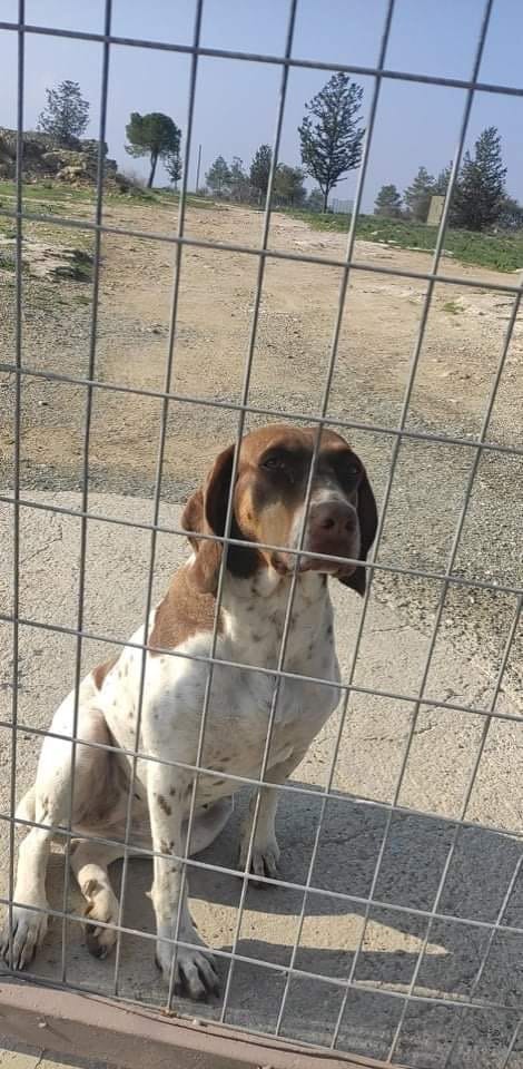 019875C8-F662-4187-8E0D-6E90B39B0748