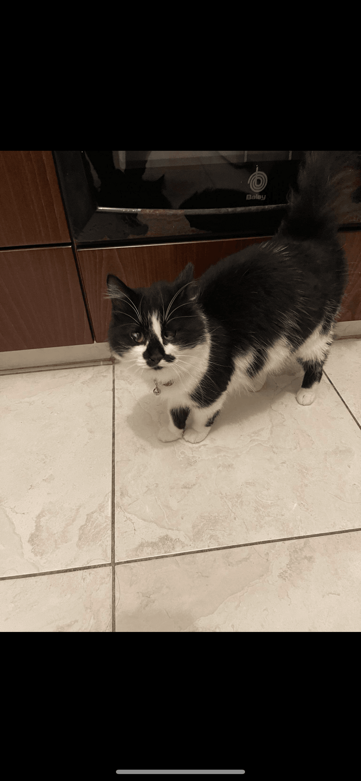 098B92FD-CCC9-470E-B637-EBBF2BD1F54F