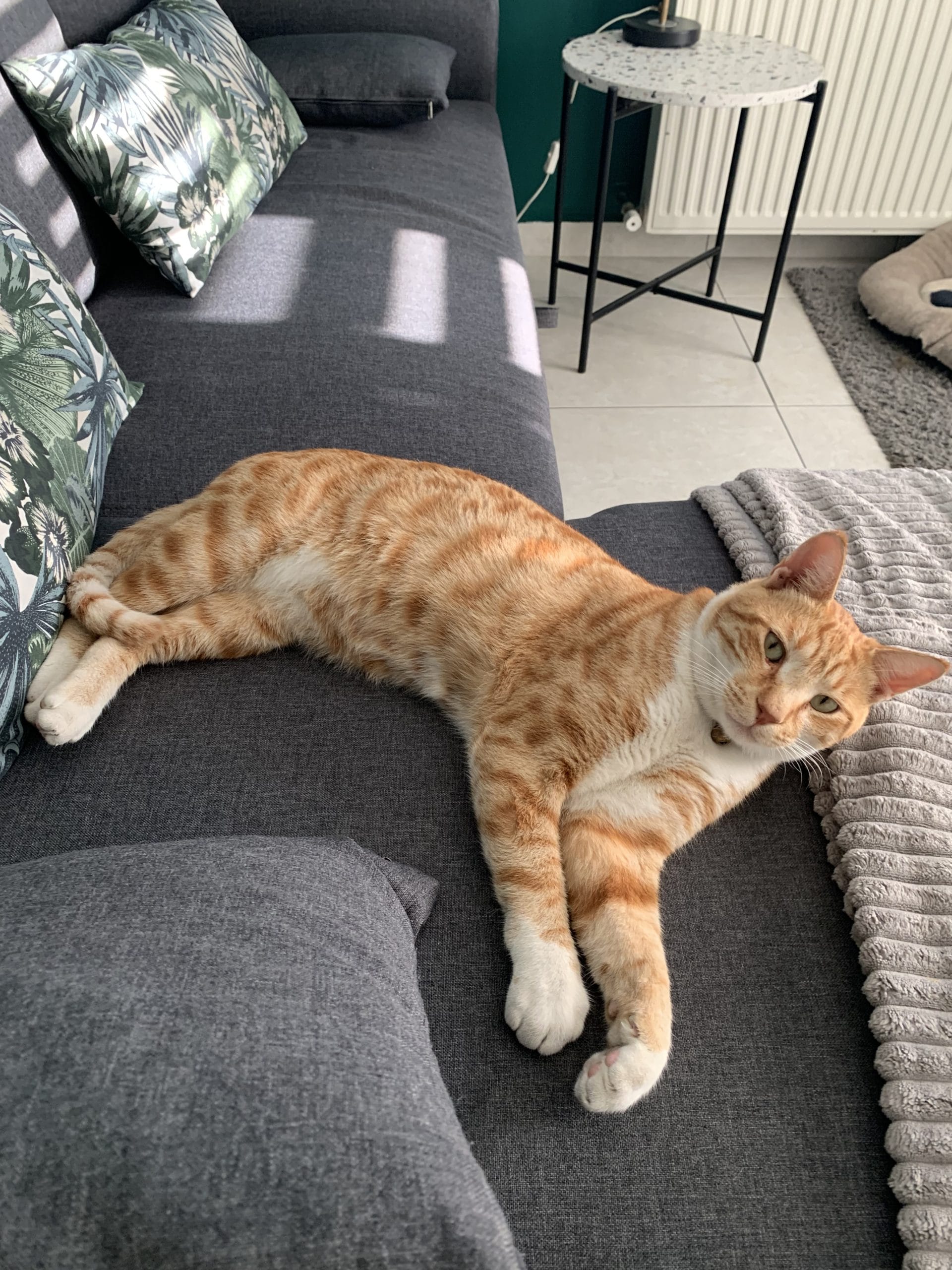 0EB0F97A-22E2-4F0A-A935-928E57E25F3D