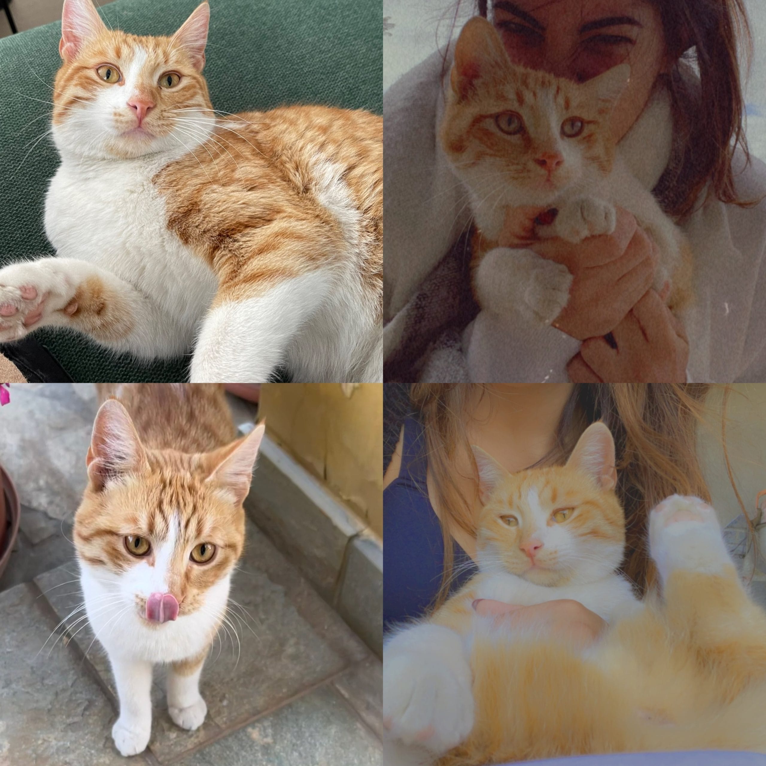 1833B24F-5A99-42D3-A0F8-6945EB34A37E