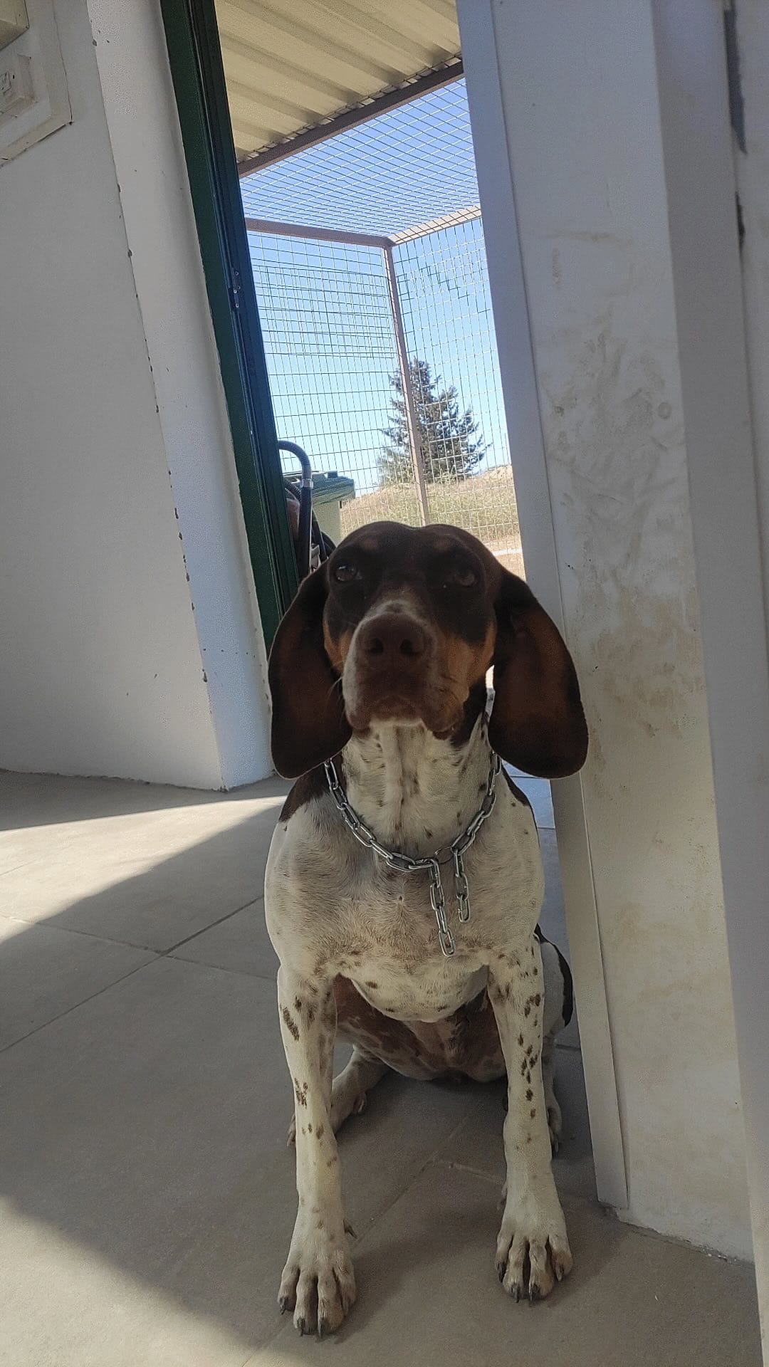 1B3B421F-305A-4DA1-BBD1-29BB05D95101