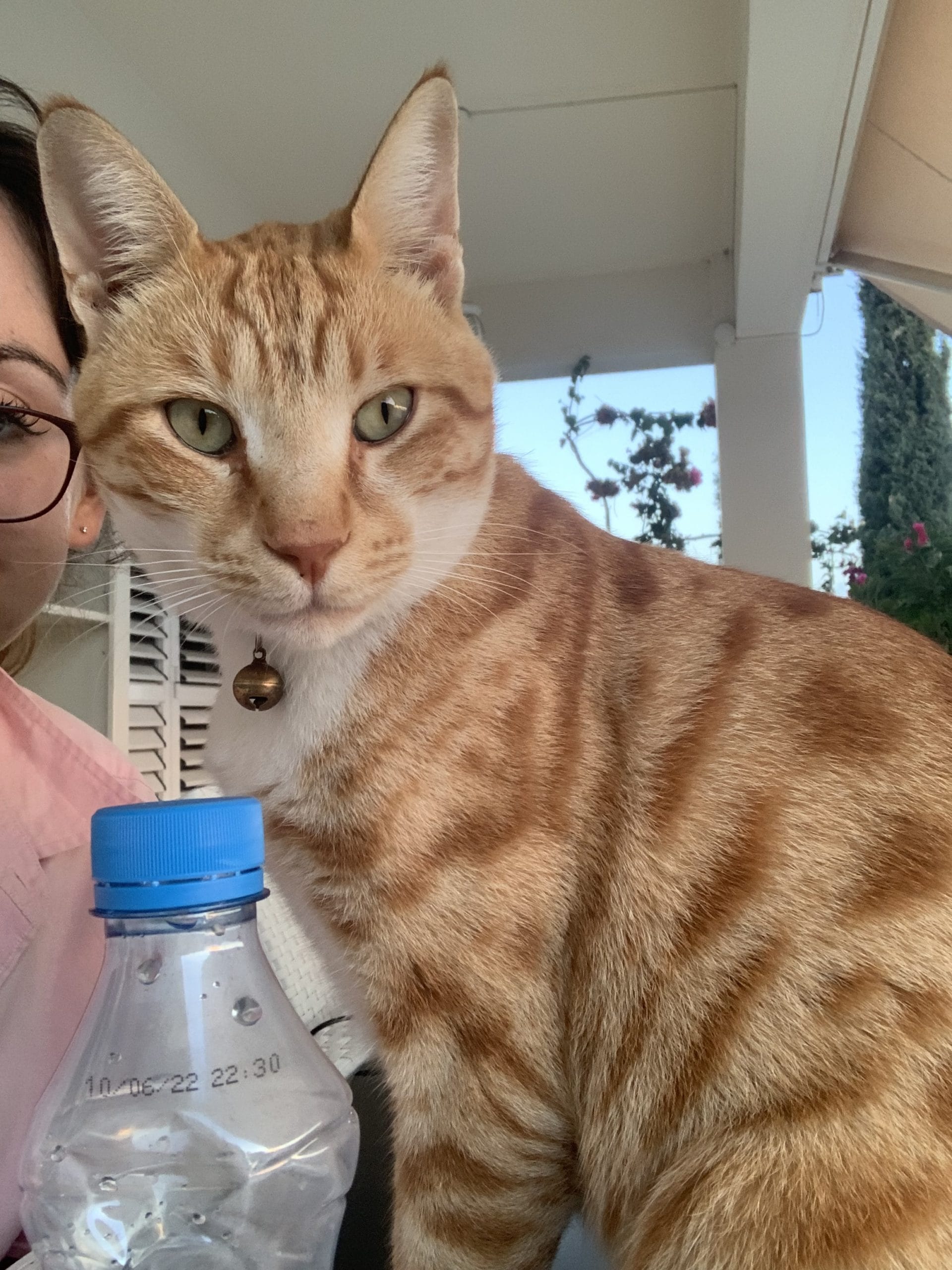 20790D4B-FF39-41B1-8375-B5436BB1DC4D