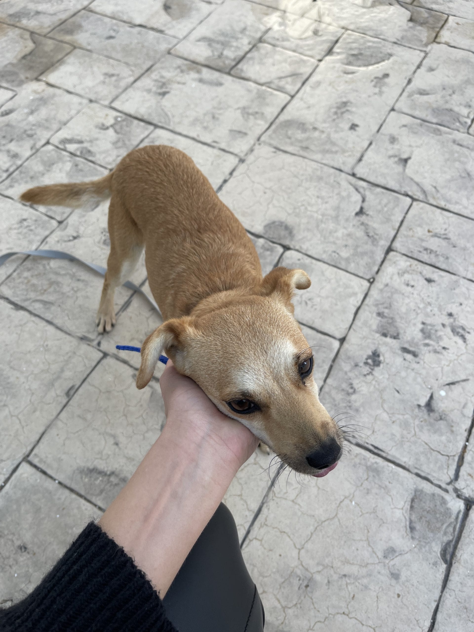 25FC6257-A2E3-4854-B70C-1BE0E60E09F6