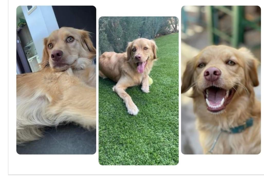 2A2285AC-E274-4C21-9BEC-1CEA651BCEE5