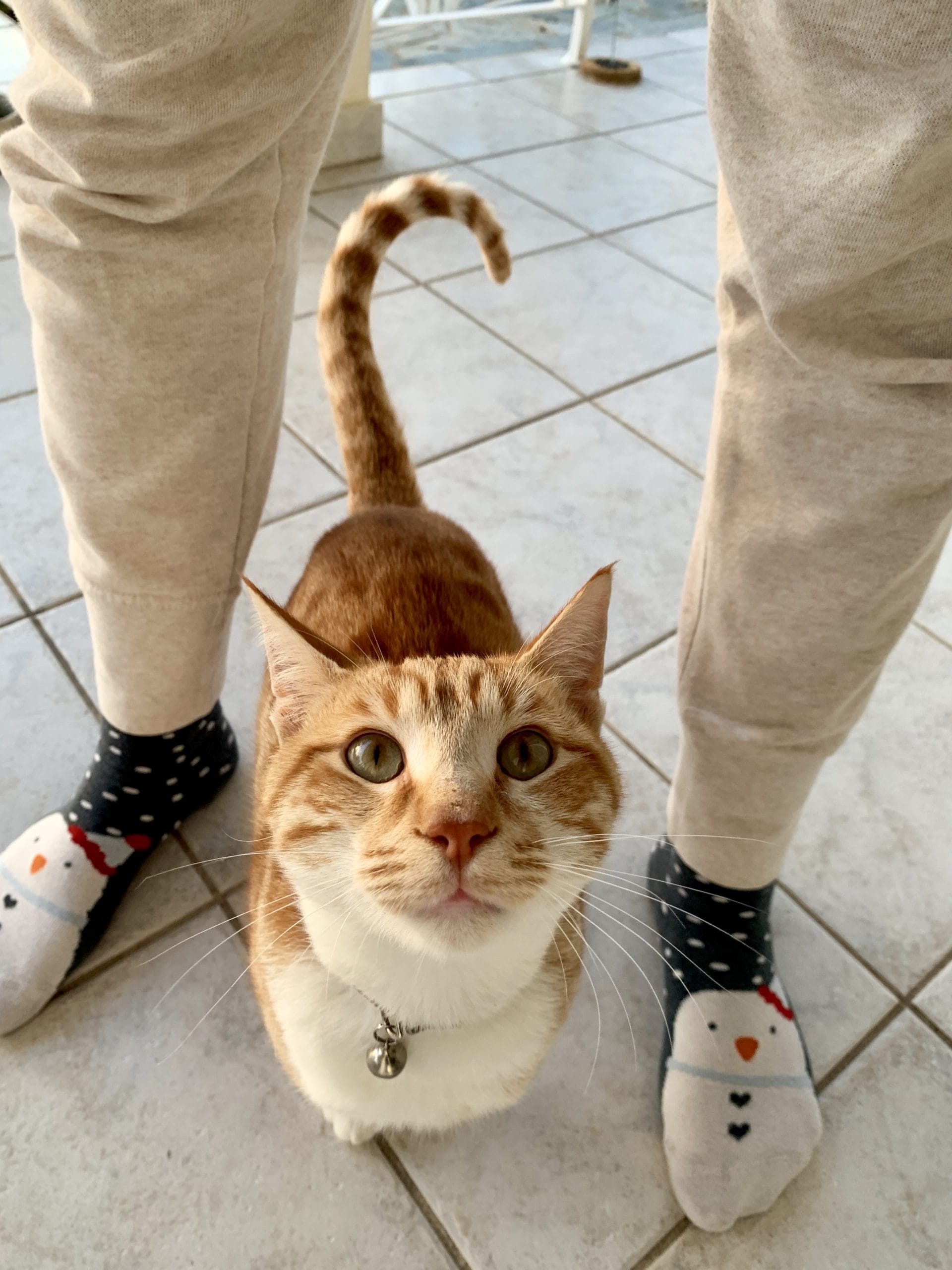 530B4863-6230-4B5D-B9B5-C055ACD08A4C