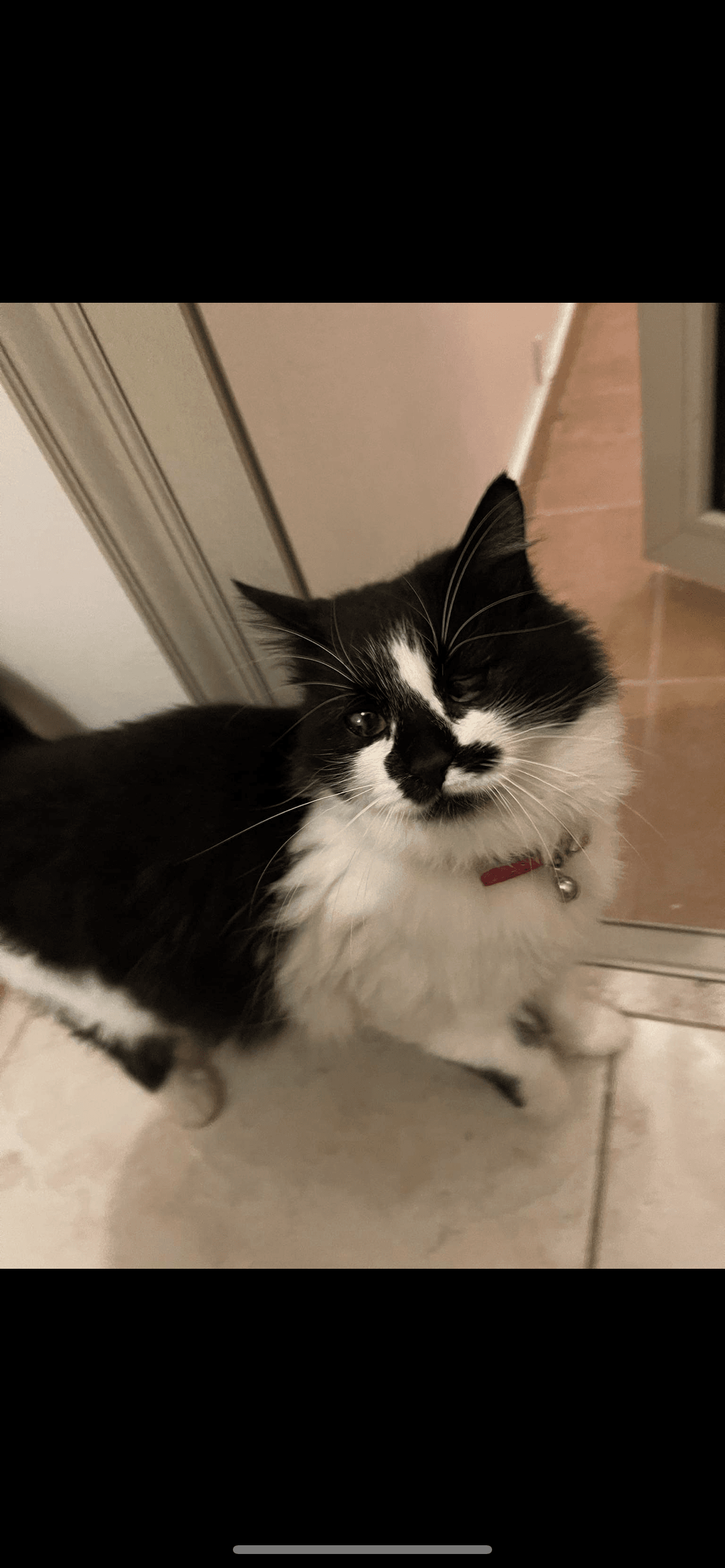 58BC6508-7FAC-493B-8D11-F246D4C6F977