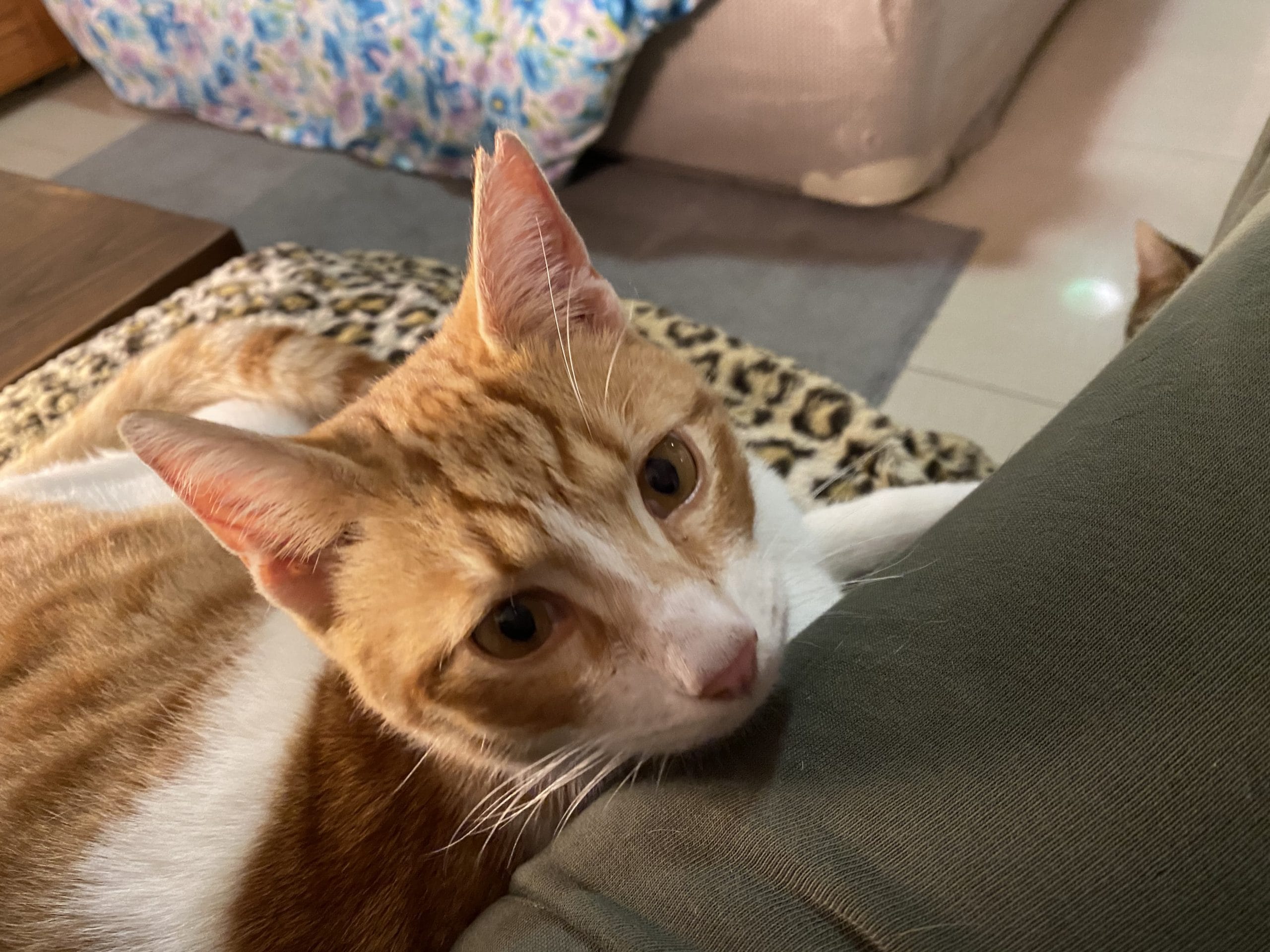 613D41B8-A291-4B55-AB9E-E71EB27AAE7A