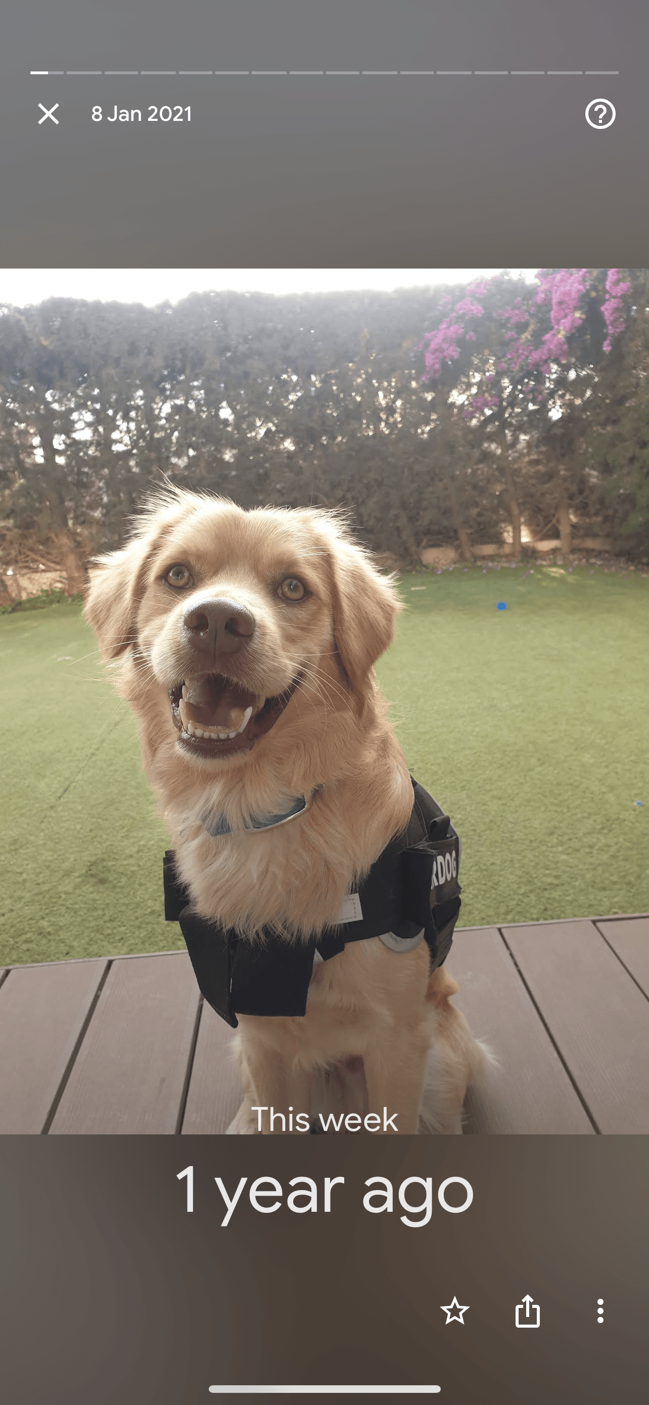 7B613F48-0FFF-4B2D-B7D1-FC7569D527BF