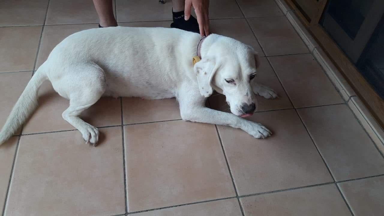 83E694CB-B0EB-4167-B41F-3E801F68162D