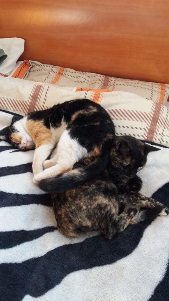 89AAE7BB-528C-426C-BB0B-4F662C7A678B