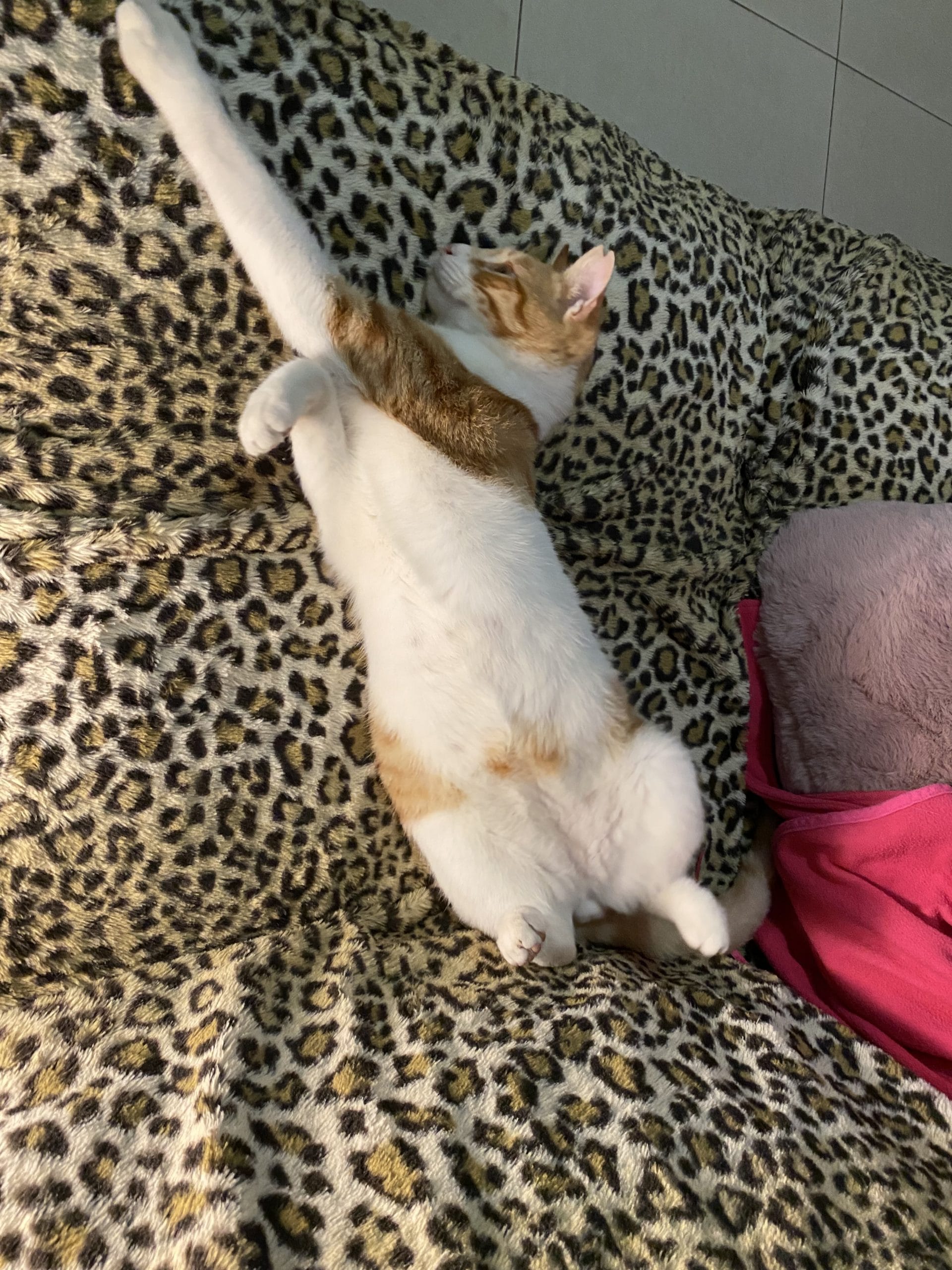 9FB16F50-C989-4128-8903-2AF76FEA836D