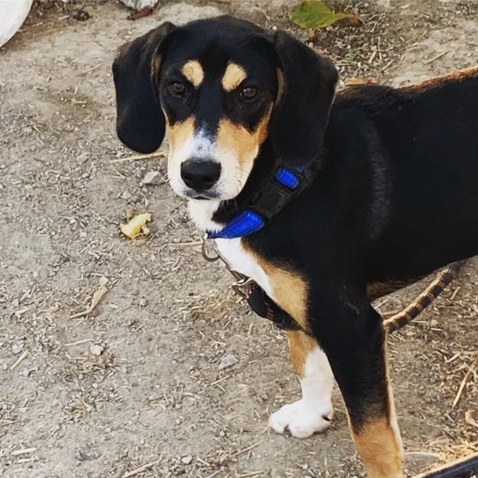 BC308E19-899A-43E1-89DF-0E7B49FF6B59