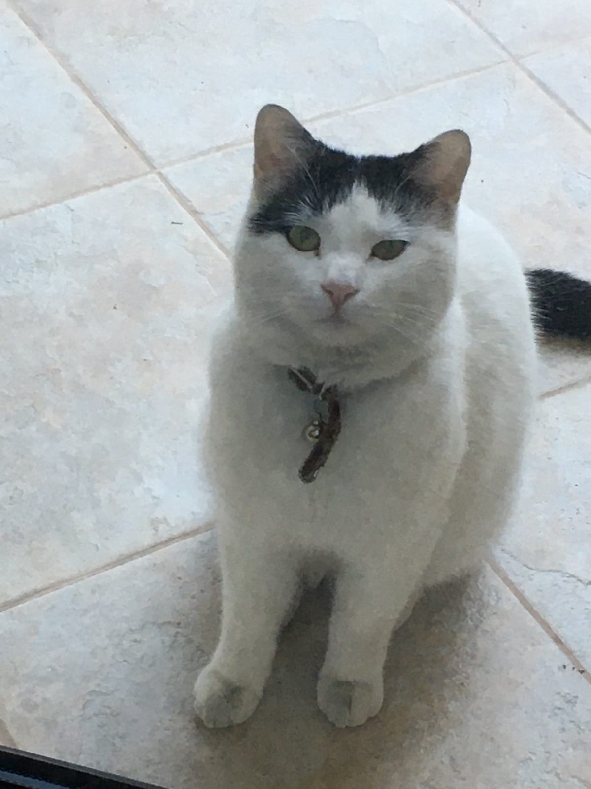 C0D359F5-C245-40B5-AAB2-680E29BFB90C