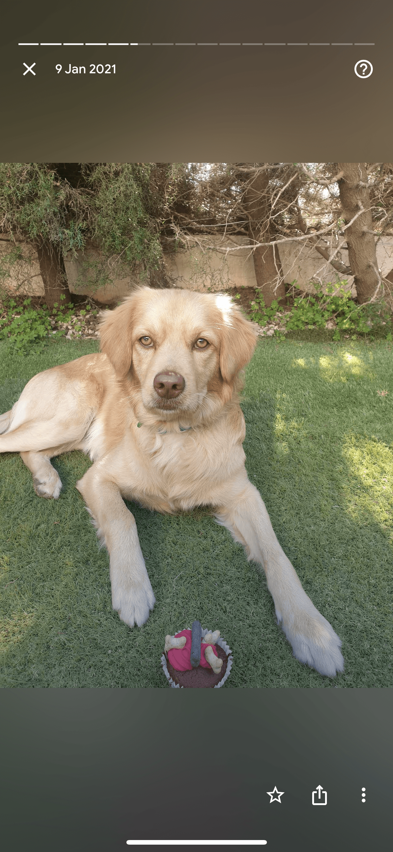 C5F70B6D-97CA-4CB6-8D29-65A2BA4FACC9