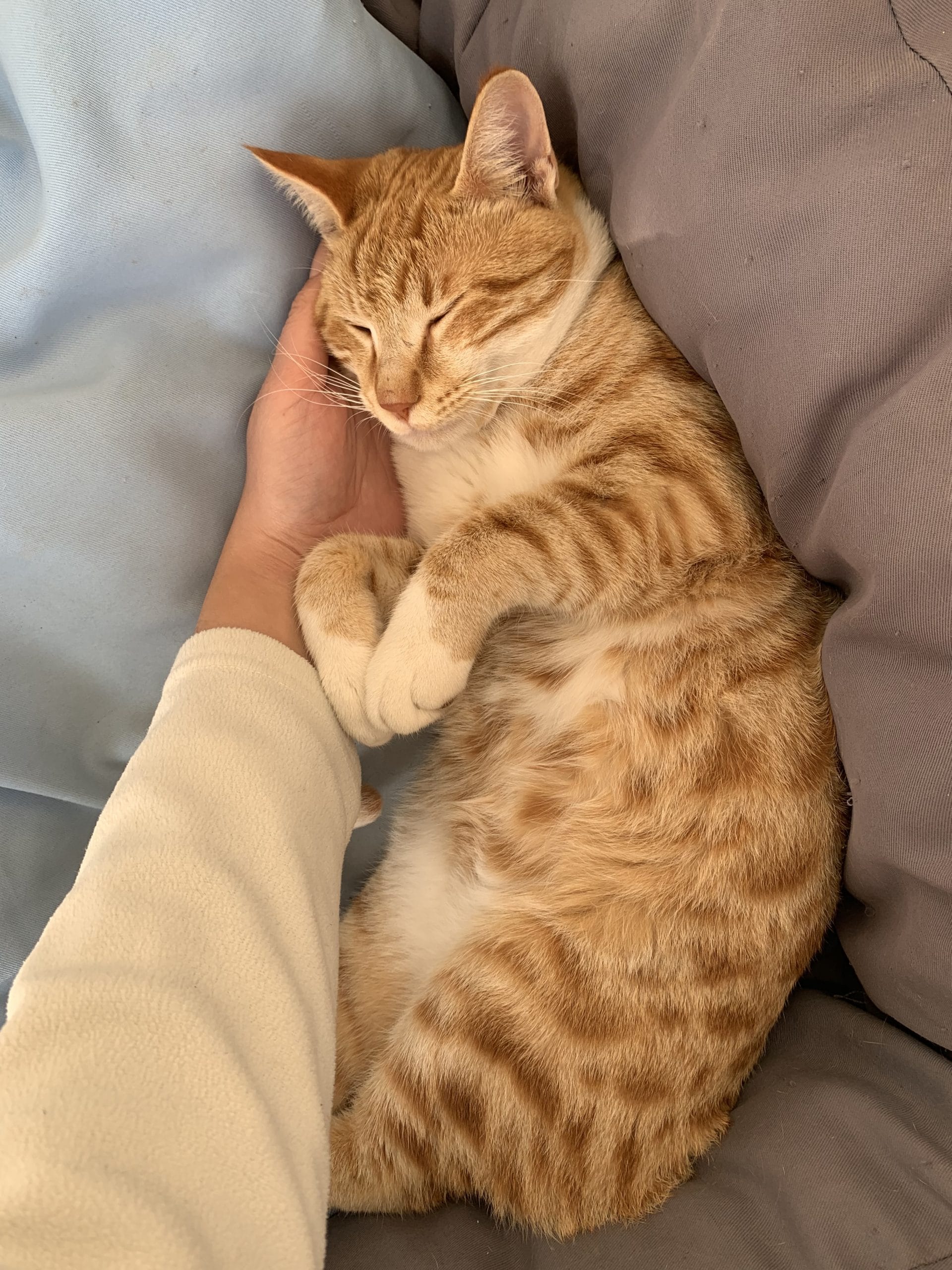 CB6BDDA1-A2A6-4A2E-9D8B-400CC8952522