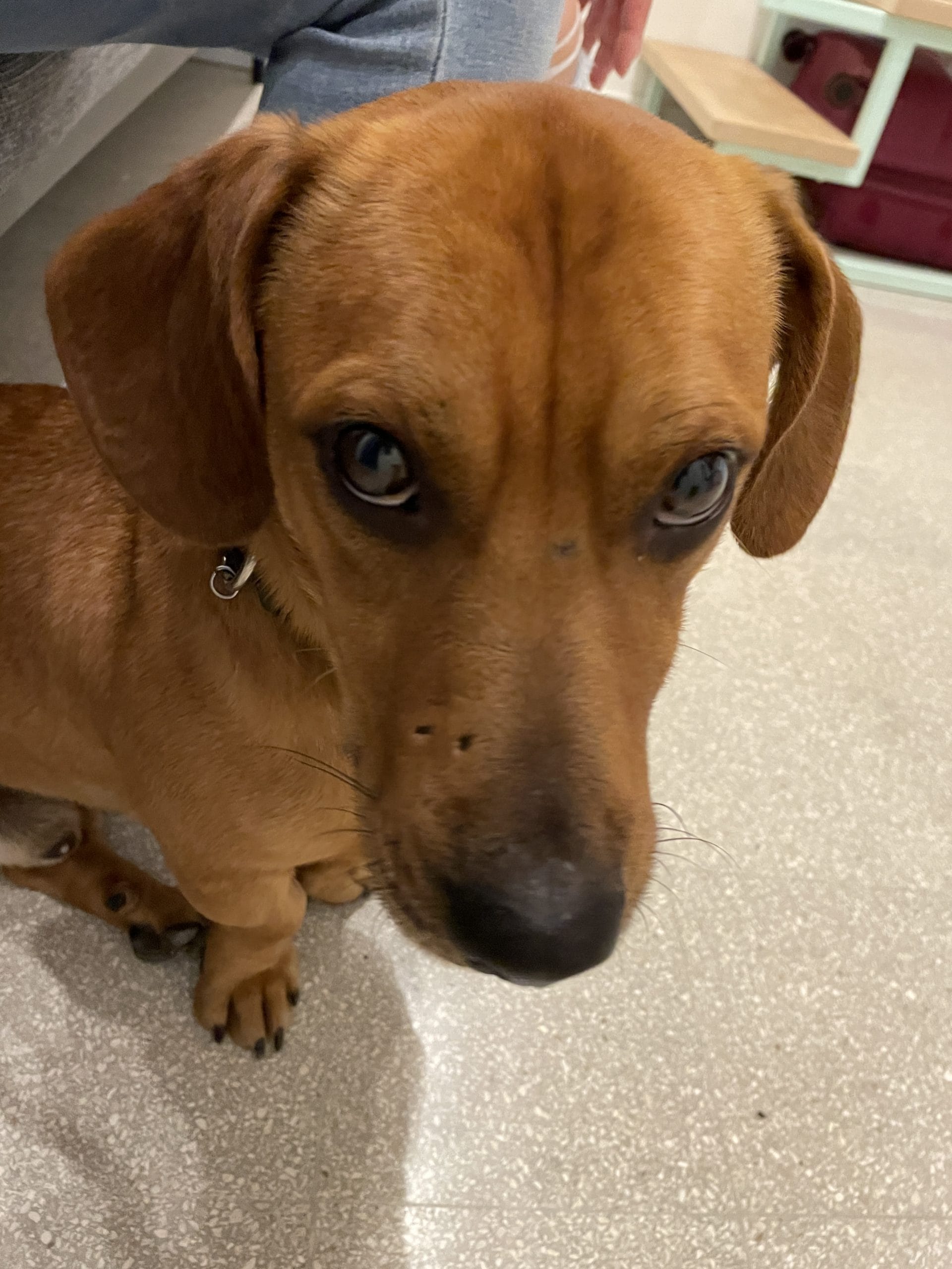 E0AE2A33-C23D-482F-9DA2-F7DBA542377C