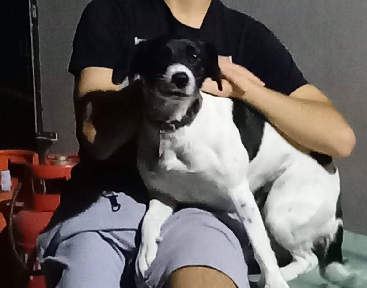 E509CB0F-8069-45D2-8AF9-FE233C6EDFE8