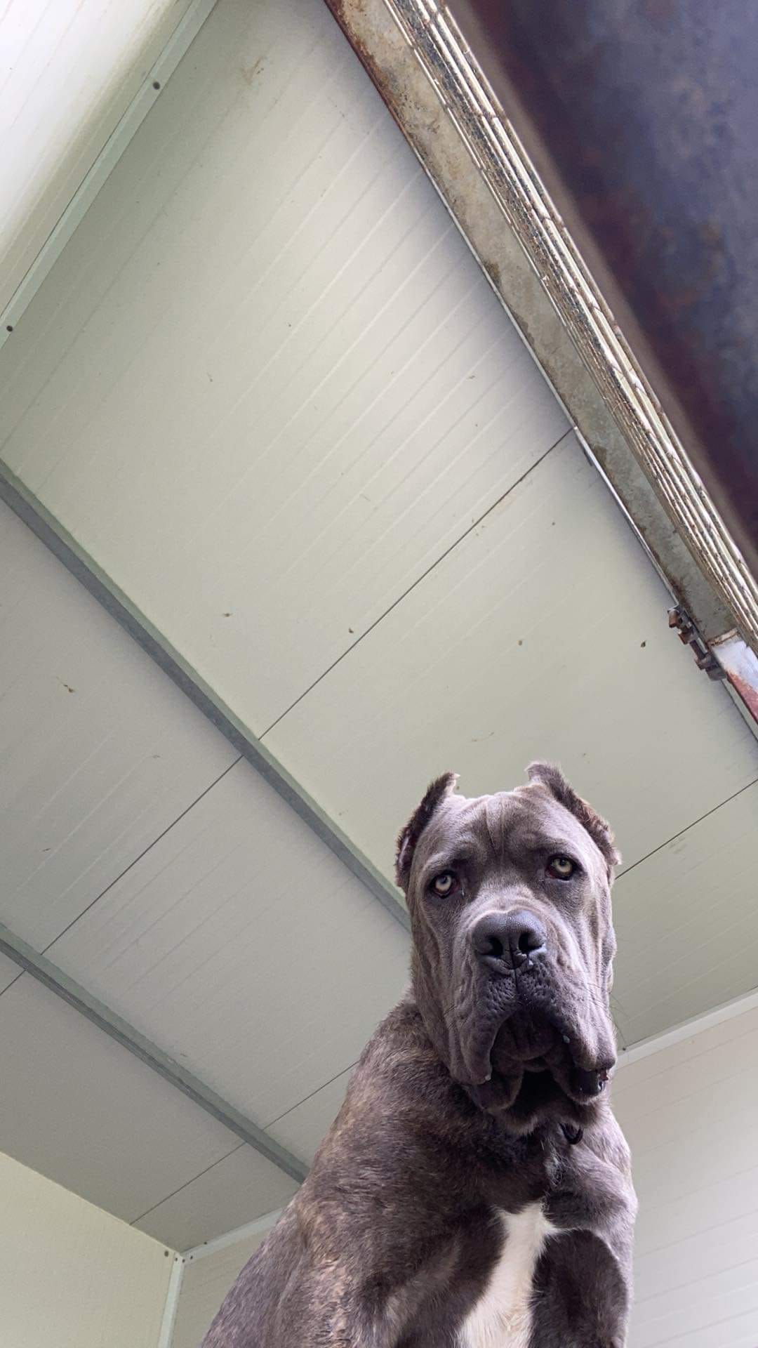 E55AB5A7-B89E-415C-A81A-D0E9F2865325