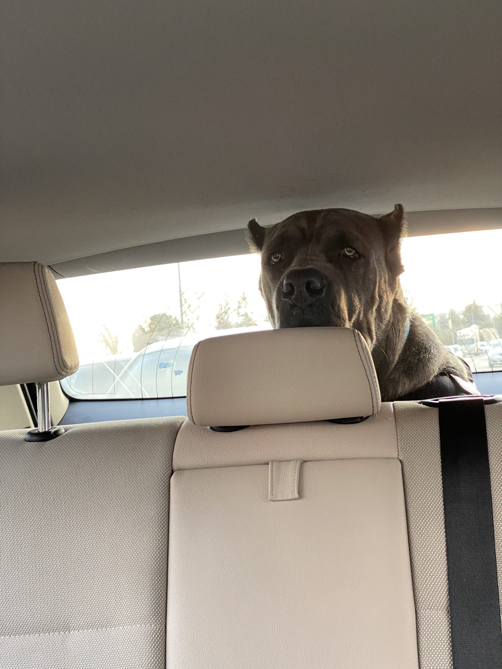 ECFD6B11-E622-4F8C-B596-7B64F49869D7