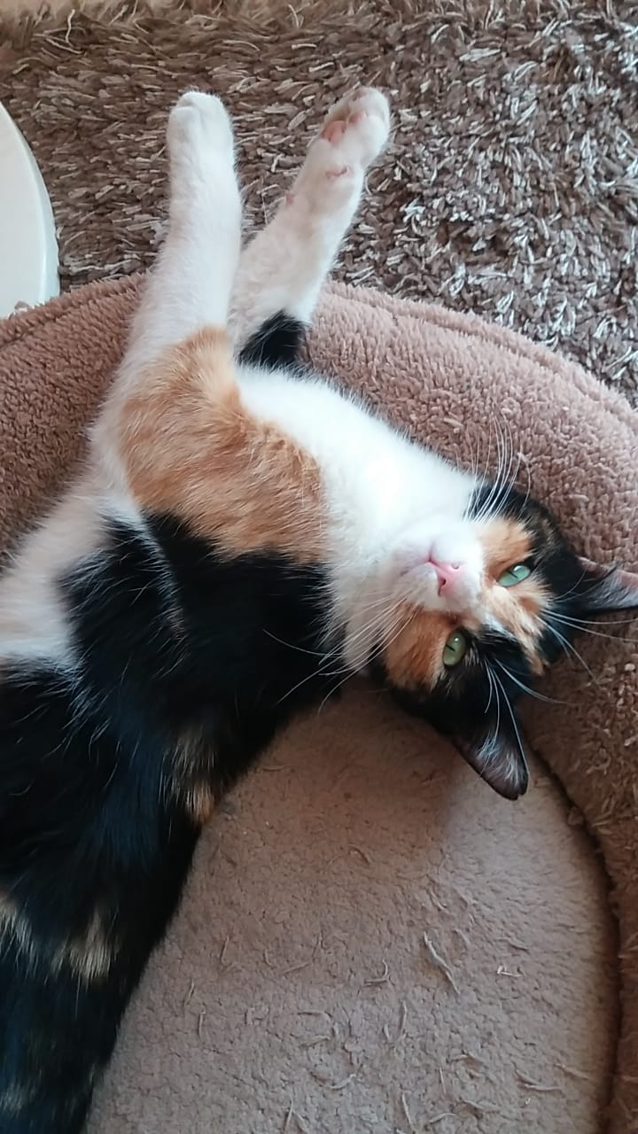 EE4AD44C-58E4-46D9-B617-156DF8F3D956