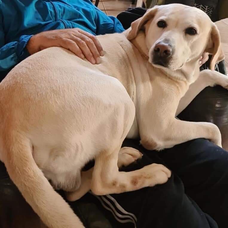 FB_IMG_1641030762601