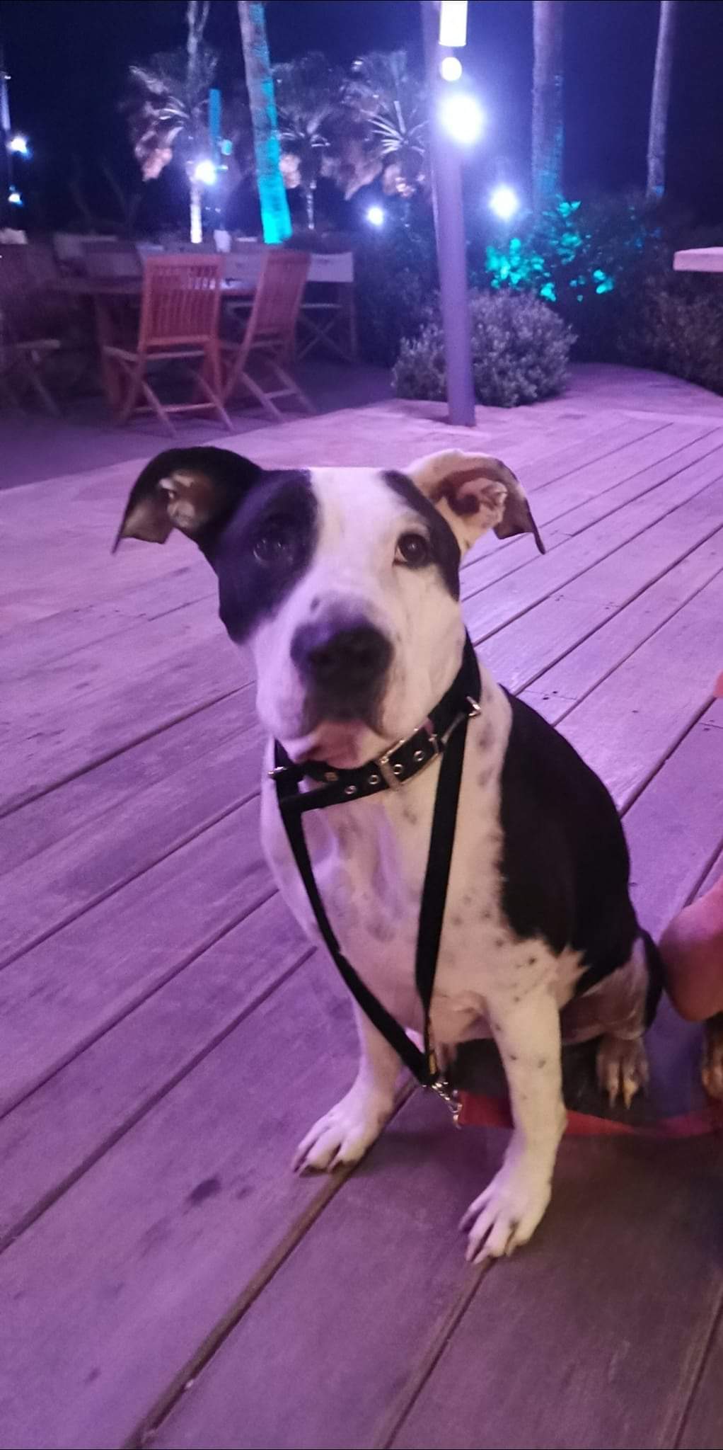 FB_IMG_1641462319571