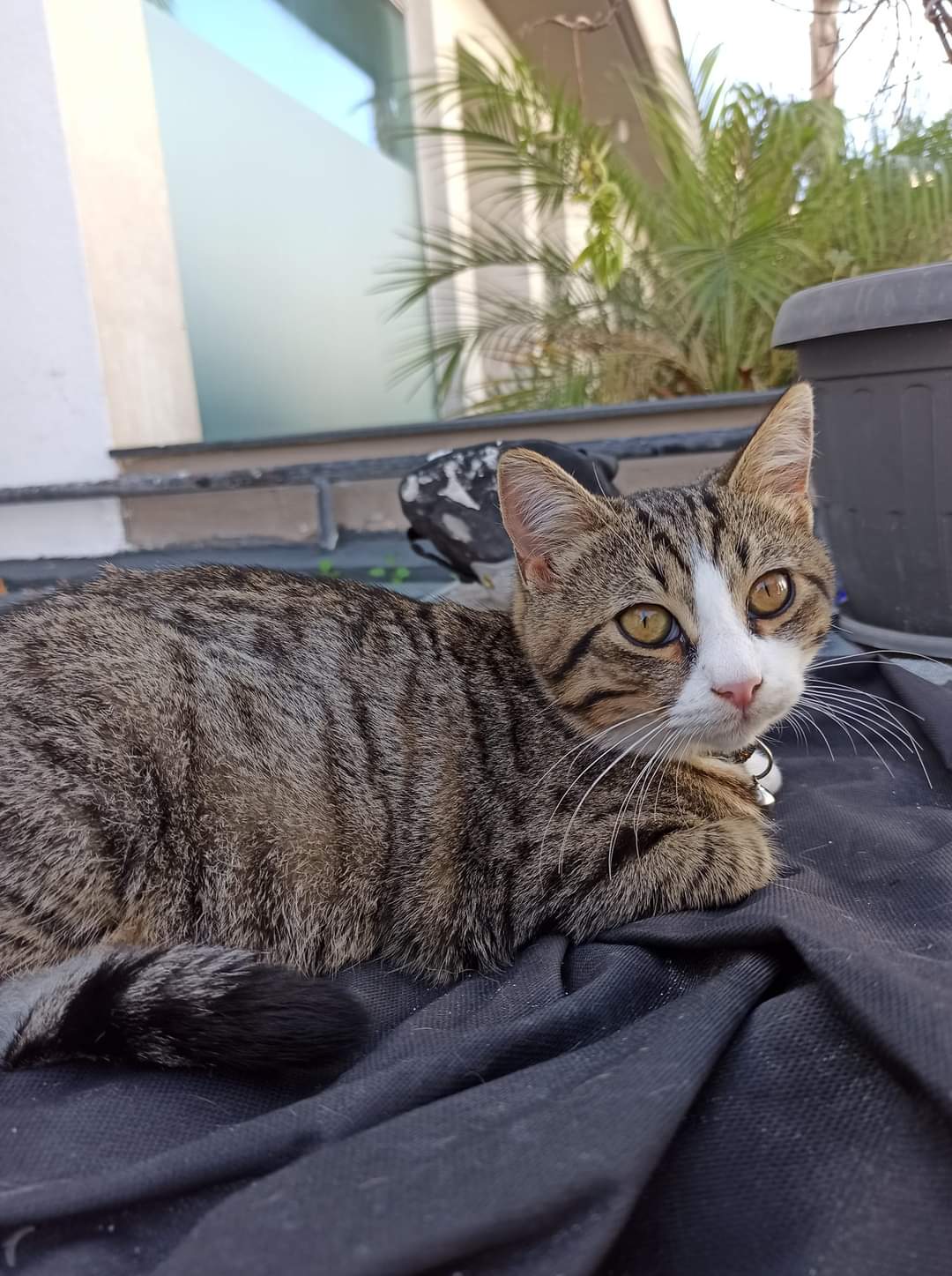 FB_IMG_1641539156081