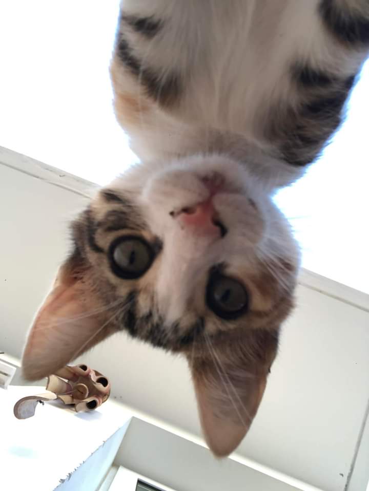 FB_IMG_1641831960076